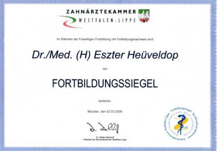 Zertifikat 2006